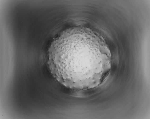 X0000102290182200808081531