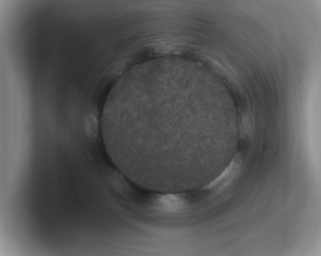 X0000102290183200808081531