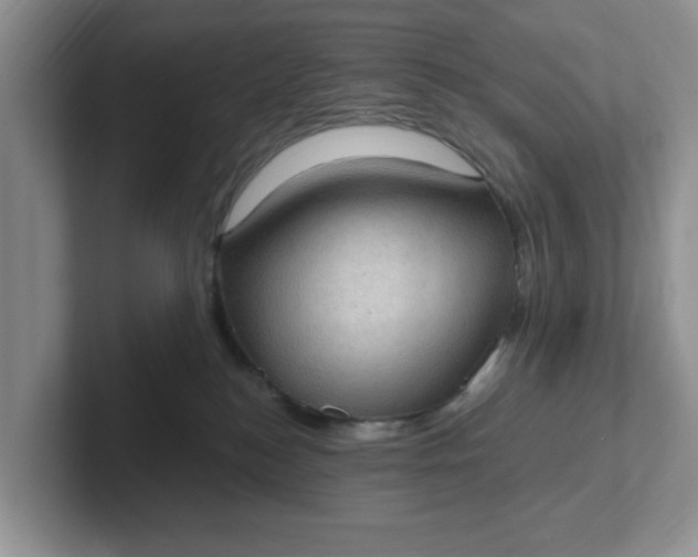 X0000102290184200808081531