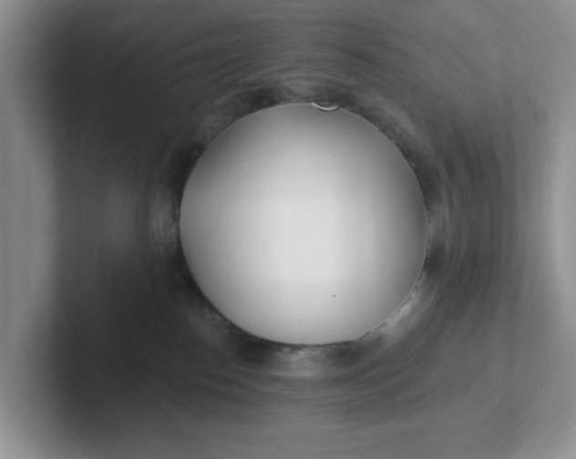 X0000102290186200808081531