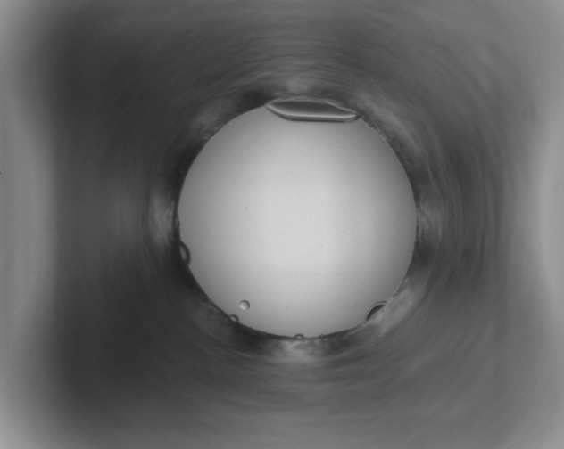 X0000102290188200808081531