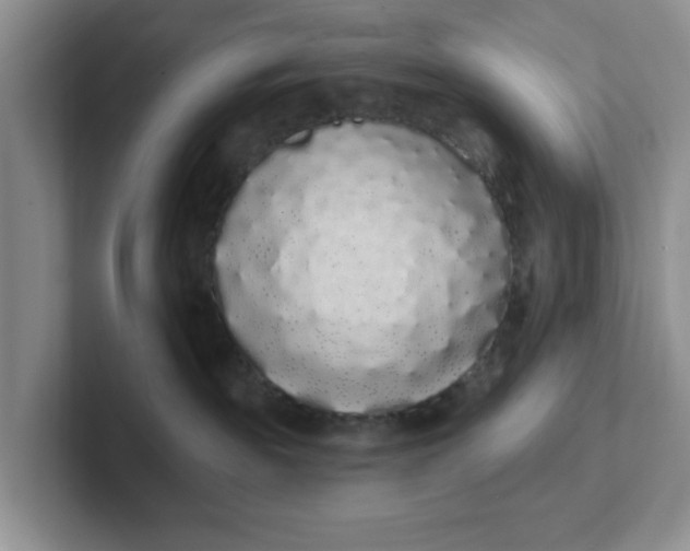 X0000102290189200808081531