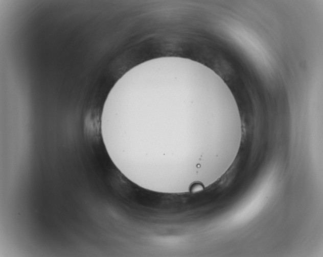 X0000102290190200808081531