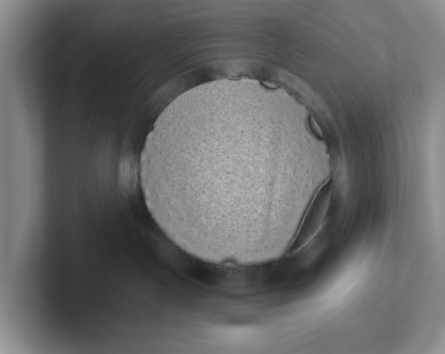 X0000102290191200808081531