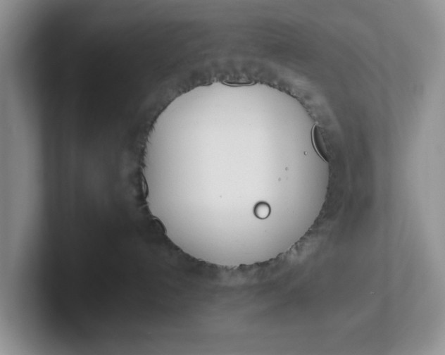 X0000102290192200808081531