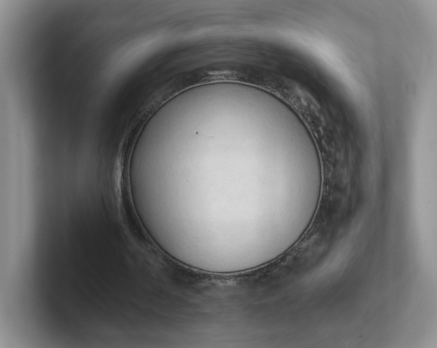 X0000102290194200808081530