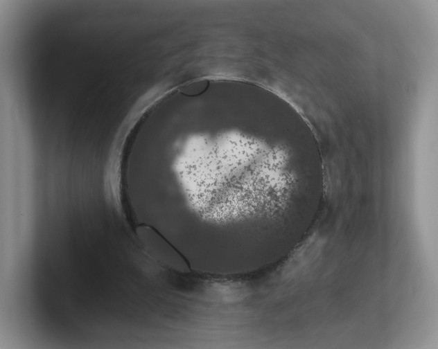 X0000102290199200808081530