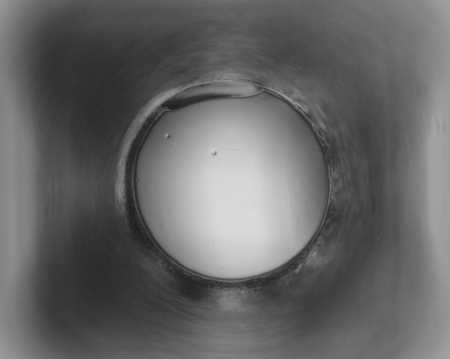 X0000102290200200808081530