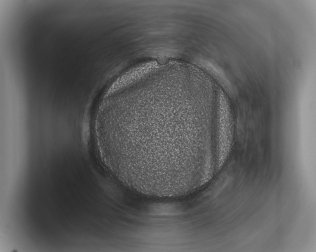 X0000102290202200808081530