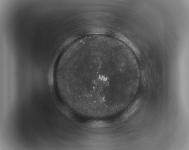 X0000102290203200808081530