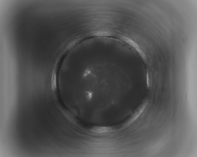 X0000102290205200808081530