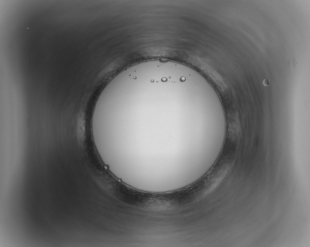 X0000102290207200808081530