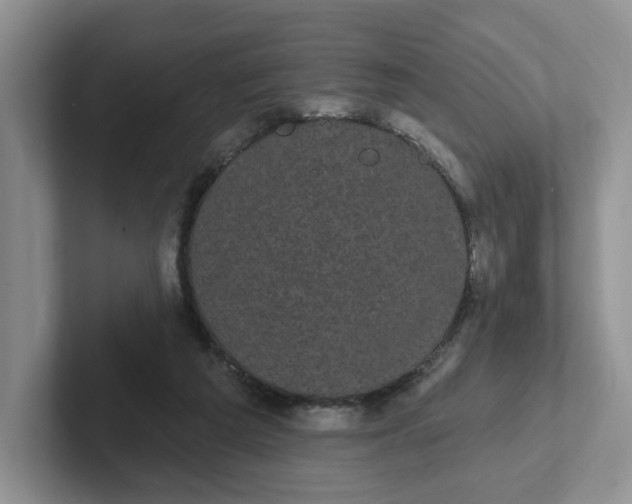 X0000102290209200808081530