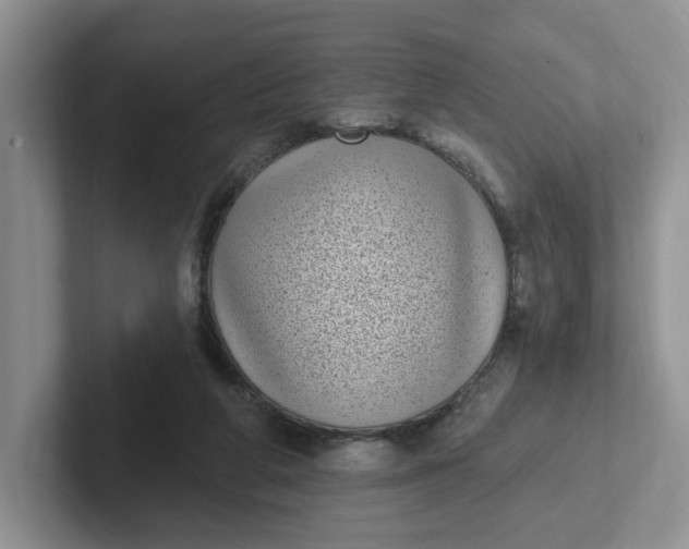 X0000102290210200808081530