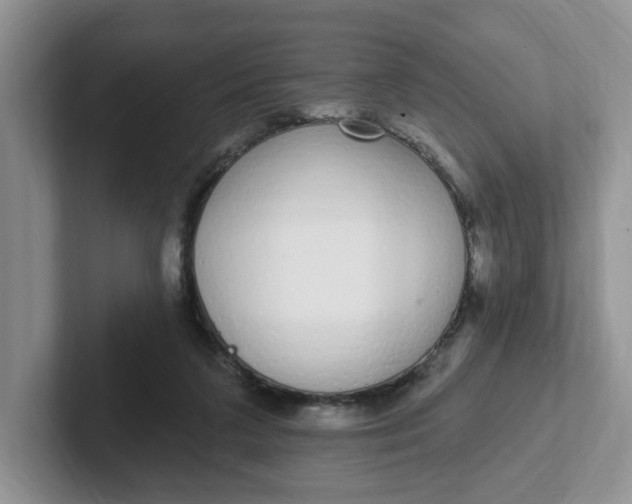 X0000102290211200808081530