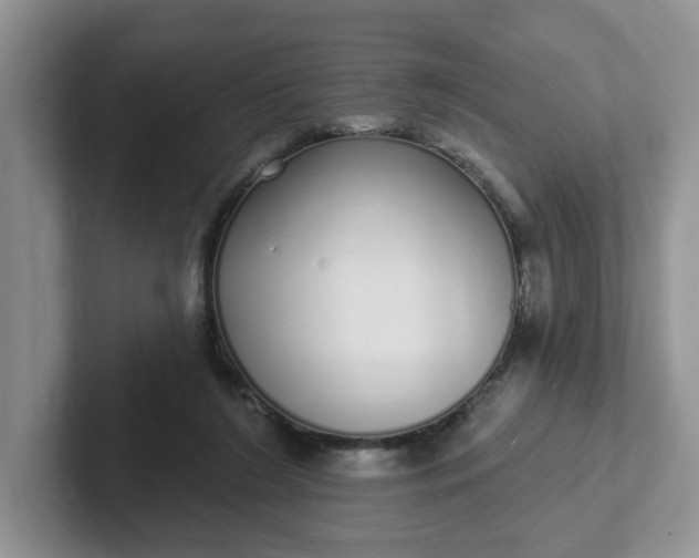 X0000102290212200808081530