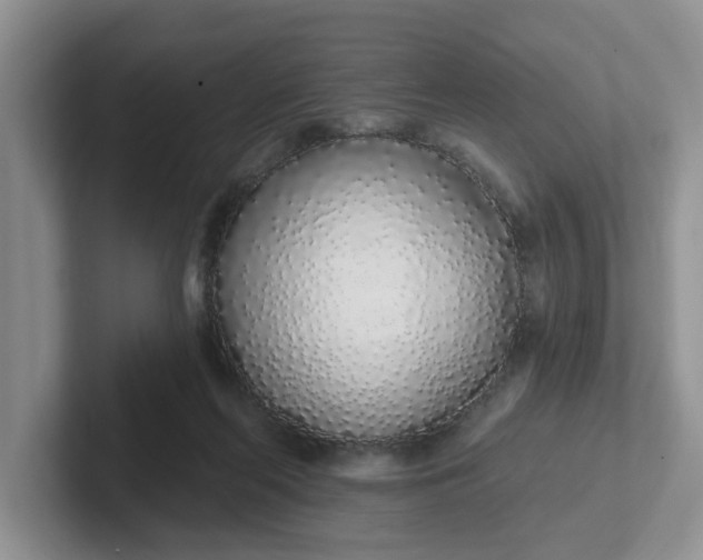 X0000102290214200808081530