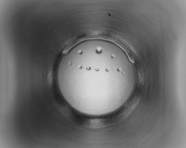 X0000102290216200808081530