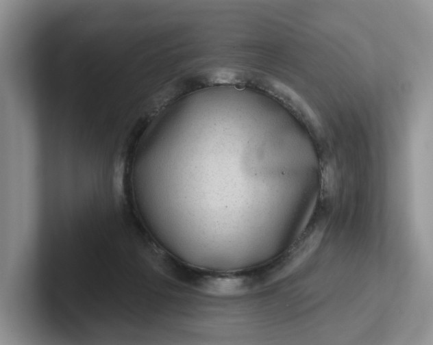 X0000102290217200808081530