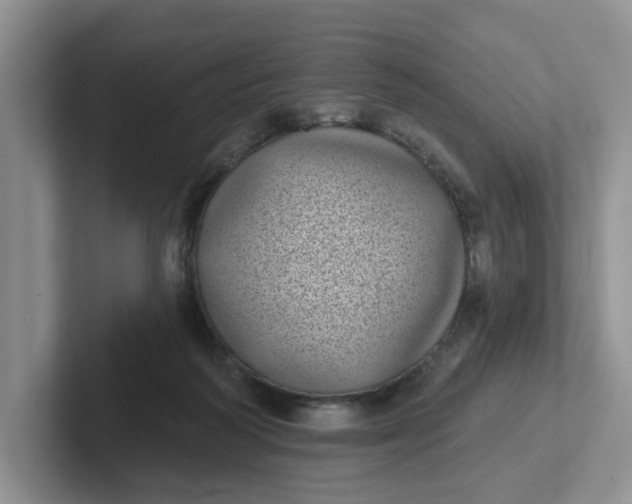 X0000102290218200808081530