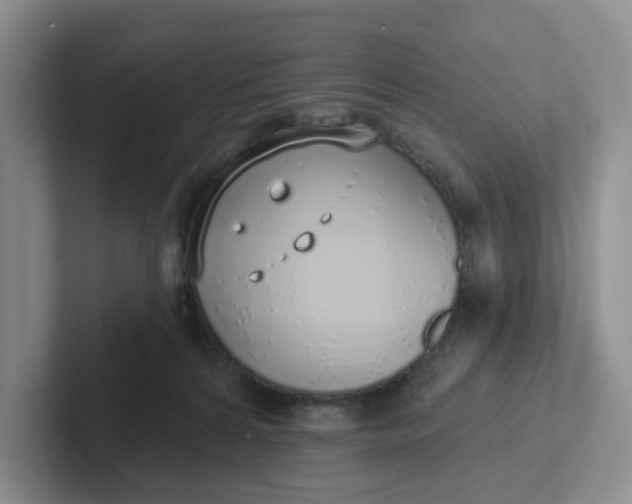 X0000102290224200808081530