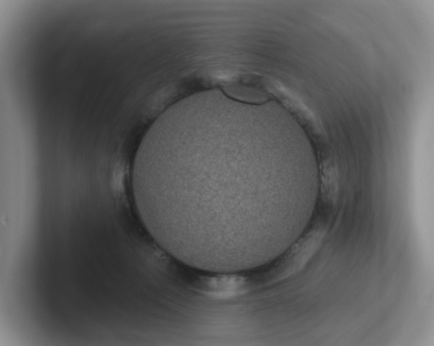 X0000102290225200808081530