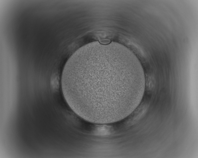 X0000102290226200808081530