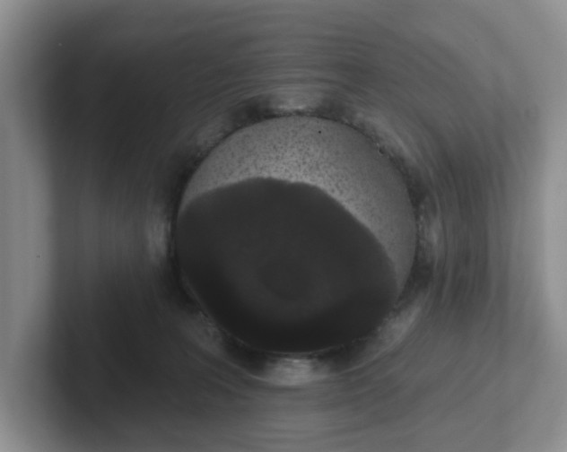 X0000102290227200808081530