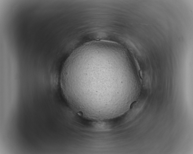 X0000102290230200808081530