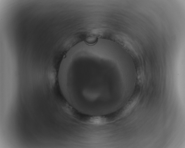 X0000102290231200808081530