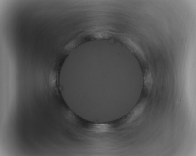 X0000102290233200808081530