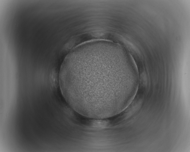 X0000102290234200808081530