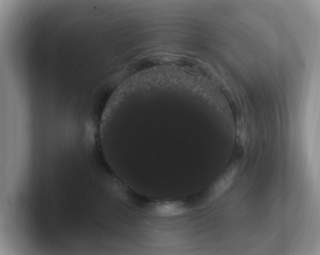 X0000102290235200808081530