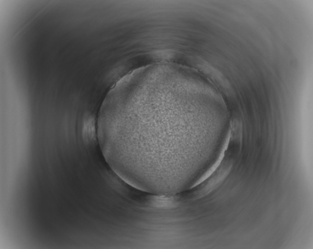 X0000102290238200808081530