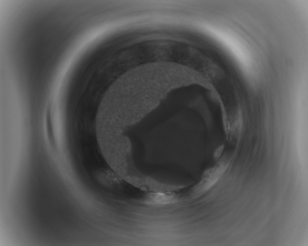 X0000102290239200808081530