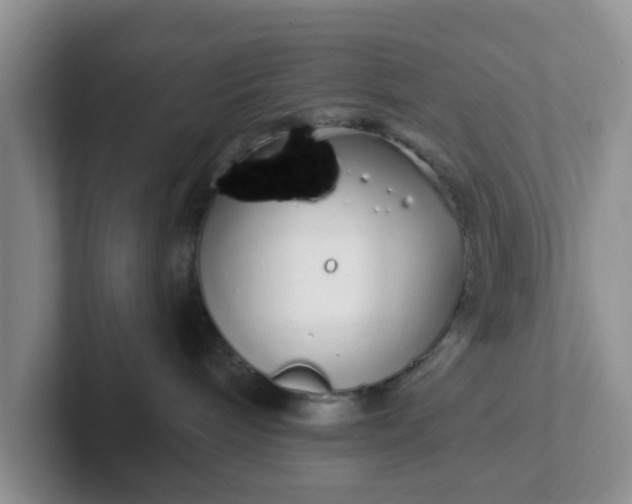 X0000102290240200808081530