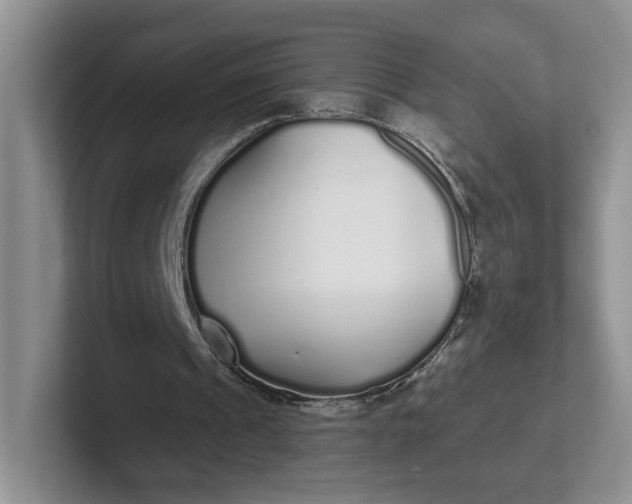 X0000102290241200808081529