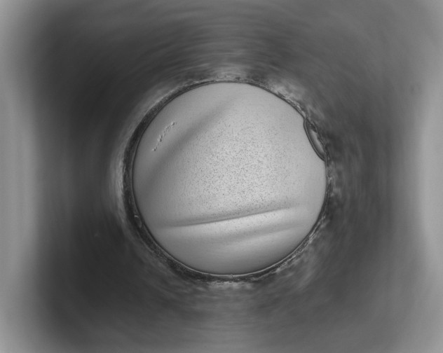 X0000102290242200808081529