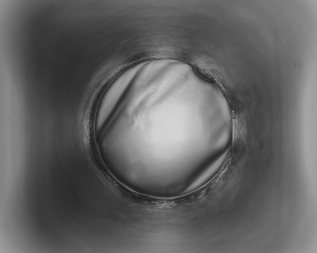 X0000102290243200808081529