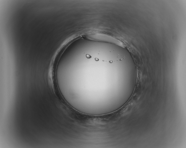 X0000102290244200808081529