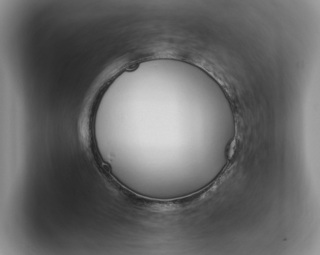 X0000102290245200808081529