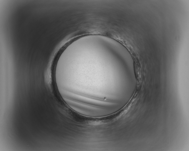 X0000102290246200808081529