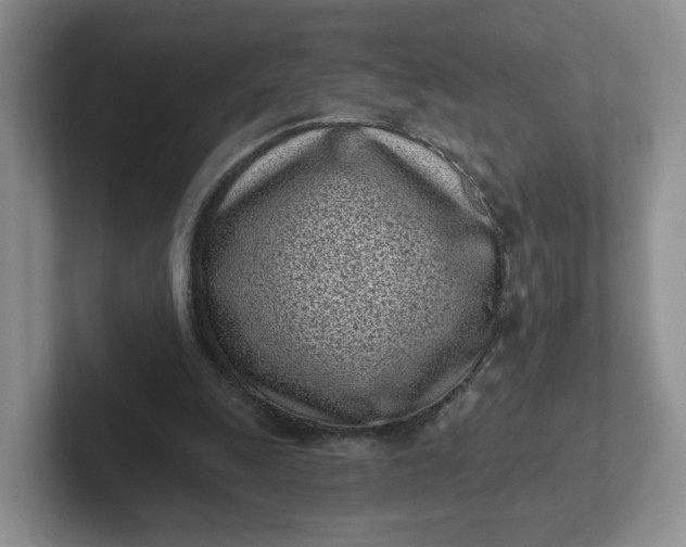 X0000102290247200808081529