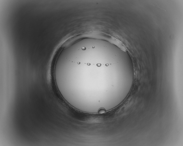 X0000102290248200808081529