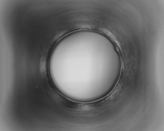 X0000102290249200808081529