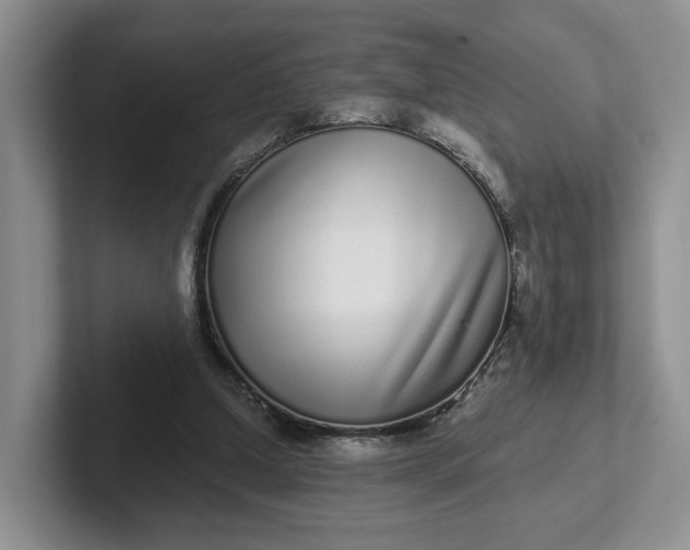 X0000102290250200808081529