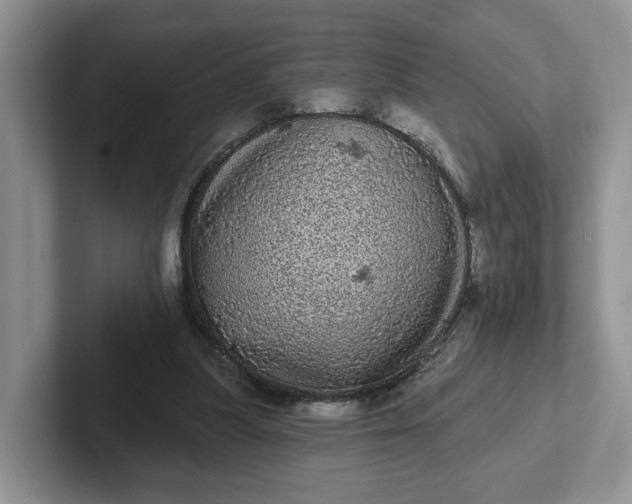 X0000102290251200808081529