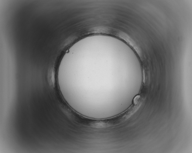 X0000102290253200808081529