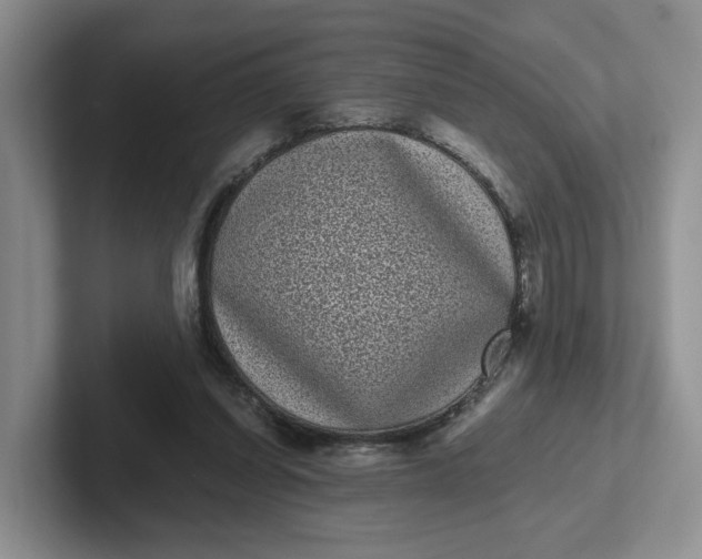 X0000102290254200808081529