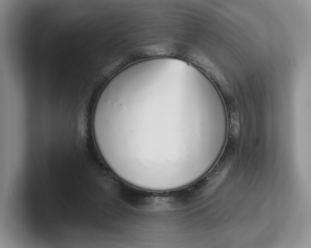 X0000102290255200808081529